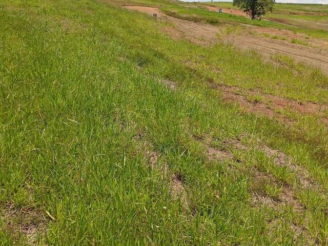 #TE-103 - Área para Venda em Caçapava - SP